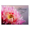 Suche nach macro Blume