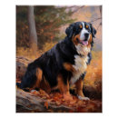 Suche nach berner poster Hund