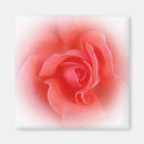 Suche nach korallen magnete Blätter