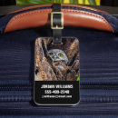 Suche nach owlet Wald