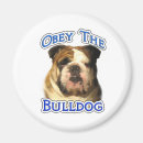 Suche nach tyrann magnete Bulldogge