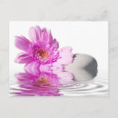 Suche nach reflexion im wasser postkarten Rosa