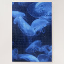 Suche nach quallen puzzle Fische