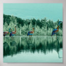 Suche nach wasservogel poster Vögel