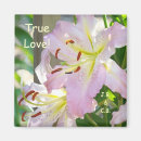 Suche nach lilien magnete Liebe