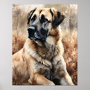Recherche de chiens de berger posters Pour tous