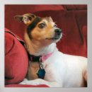 Recherche de russel posters Animal de compagnie