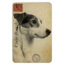Recherche de jack russel magnets Terrier
