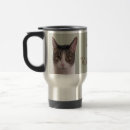 Recherche de strix tasses Strier