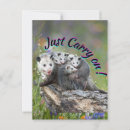 Suche nach mutter possum Natur