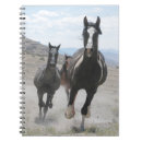 Recherche de cheval carnets Amateurs de chevaux