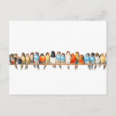 Suche nach vogelbilder poster Vintage vogelkunst