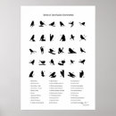 Suche nach nummerierte poster Zahlen