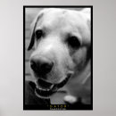 Recherche de extractie posters Mignonette