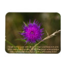 Recherche de chardon magnets Fleur