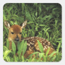 Suche nach minnesota aufkleber Natur