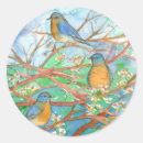 Suche nach bluebird aufkleber Natur