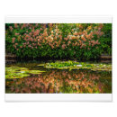 Recherche de giverny posters Étang