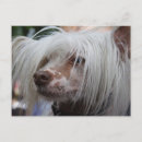 Suche nach frisuren postkarten Lustig