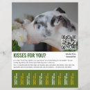 Recherche de rassemblement du chien Dogs