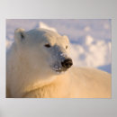 Suche nach bayern poster Schnee