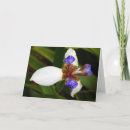 Recherche de iris vœux cartes À fleurs