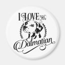 Recherche de dalmatien magnets Chiot