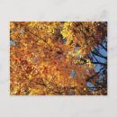 Recherche de racines cartes postales Automne