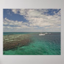 Suche nach belize poster Ozean