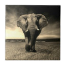 Suche nach afrikanische safari fliesen Wildtiere