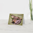 Recherche de grenouille photographie Animal