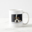 Recherche de cavaliers tasses Café