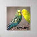 Suche nach vogelbild Leinwand