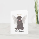 Suche nach schokoladen labrador postkarten Hundemutter