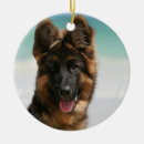 Suche nach schäferhund im schnee ornamente Bob und pam langrish