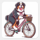 Suche nach cruiser aufkleber Outdoorspass