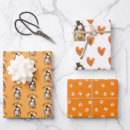 Recherche de chat fou papier cadeau Félin