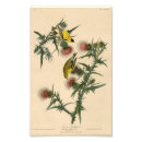 Recherche de vegetation posters Vintage