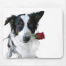 Recherche de chien rose tapis souris S'est levé