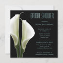 Recherche de calla blanche Lys calla blanc