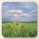 Suche nach roter mohnblumen untersetzer Sommer