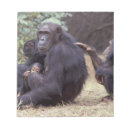 Recherche de parc national de gombe Tenir
