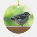 Suche nach spatz ornamente Natur
