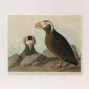 Recherche de puffin puzzles Audubon