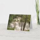 Recherche de mae vœux cartes Forêt