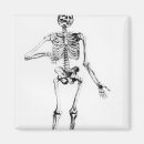 Recherche de anatomie humaine magnets Os