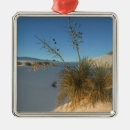 Recherche de sand ornements Dune de sable