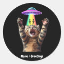 Suche nach alien ufo aufkleber Katze