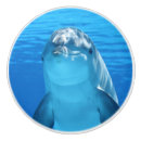 Recherche de dauphin boutons et poignées de porte Aquatique