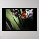 Suche nach skalen poster Gold